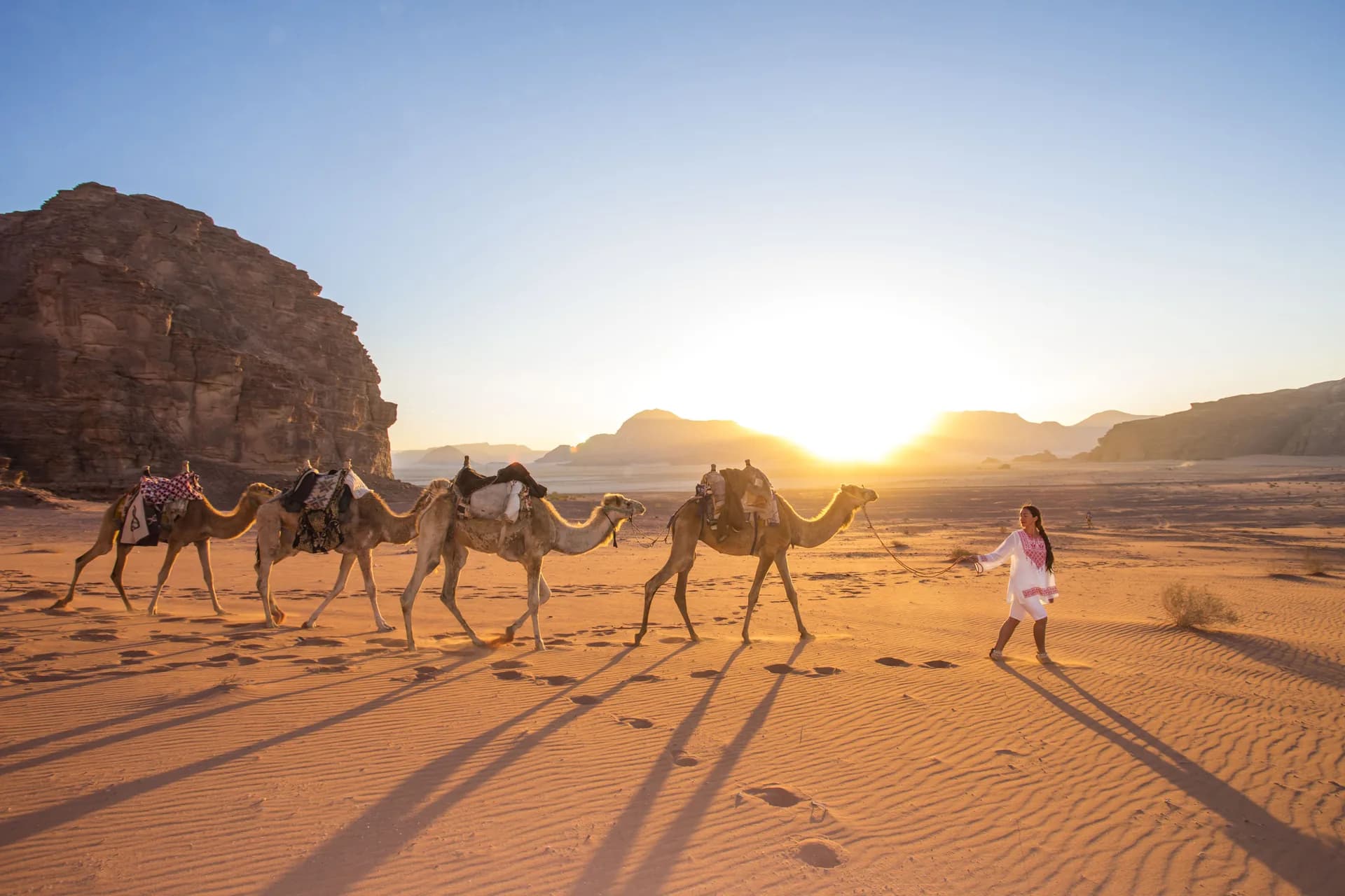Camel caravan crossing the desert at sunrise in Wadi Rum, Jordan
